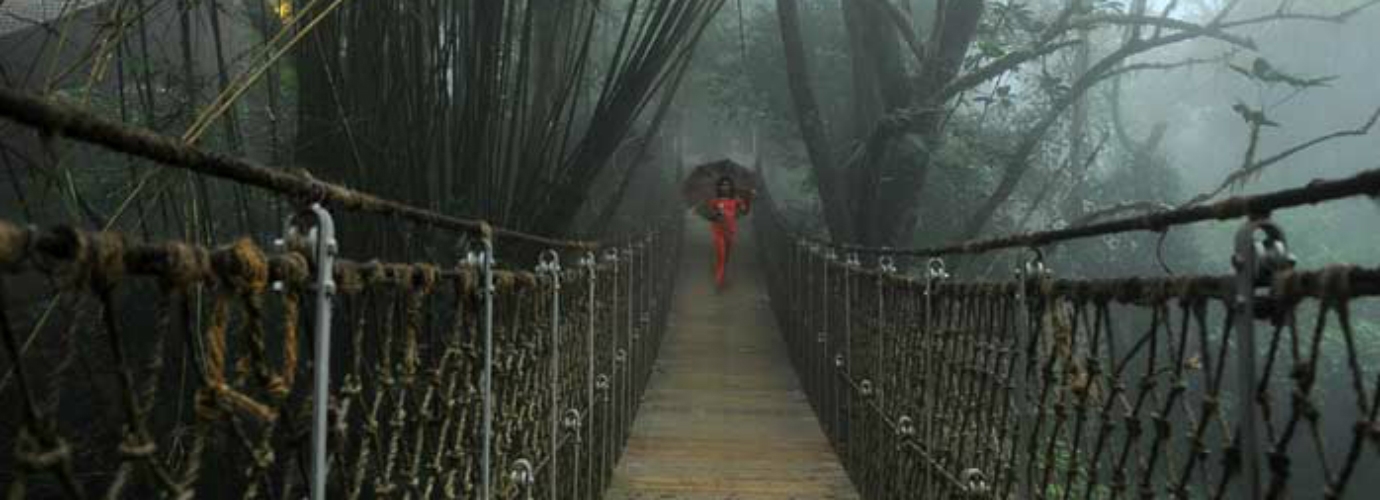 Hanging Bridge