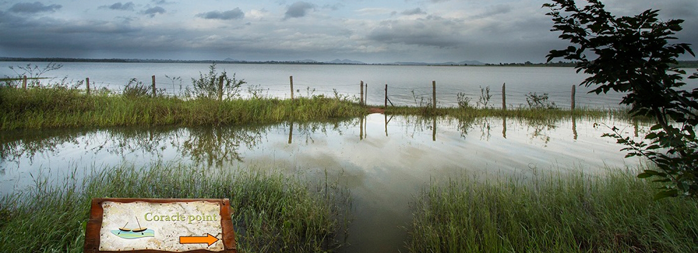 Coracle Point