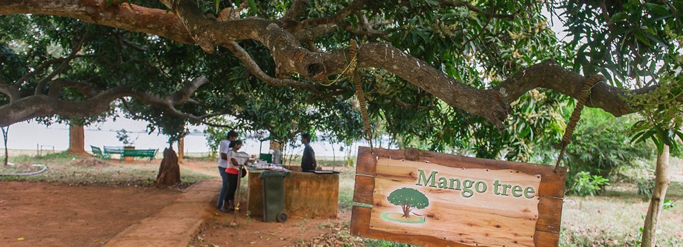 Tea Stall