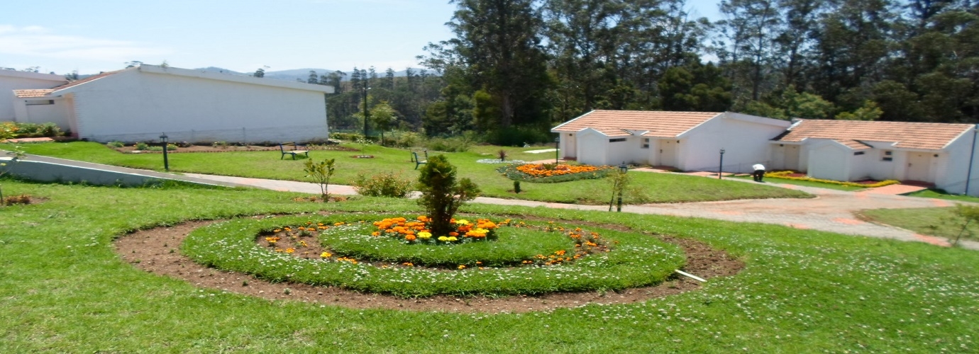 Garden Area