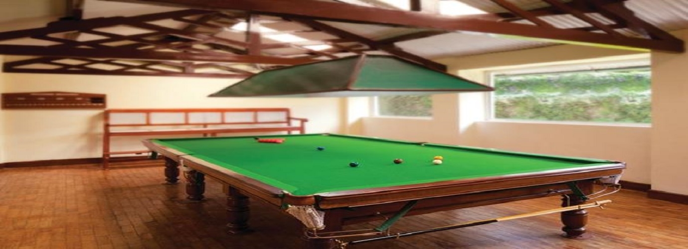 Snooker Table