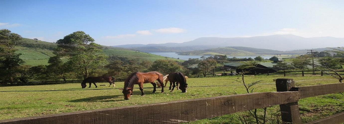 At Destiny Farmstay