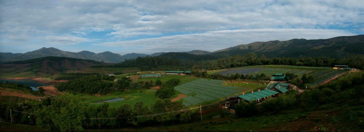 Hill View From Destiny Farm Stay