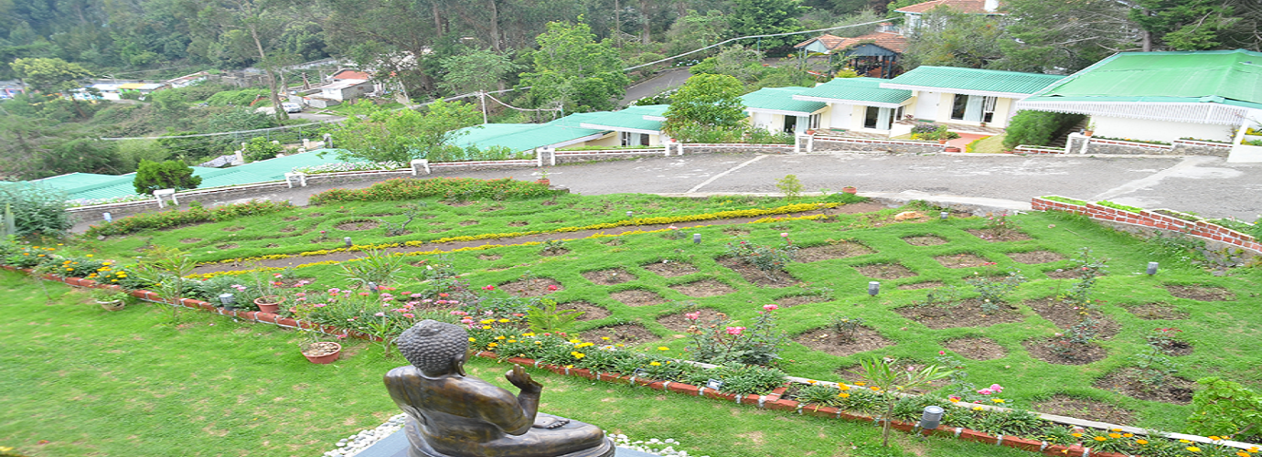 Garden Area