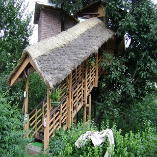 Tree House Cottage 