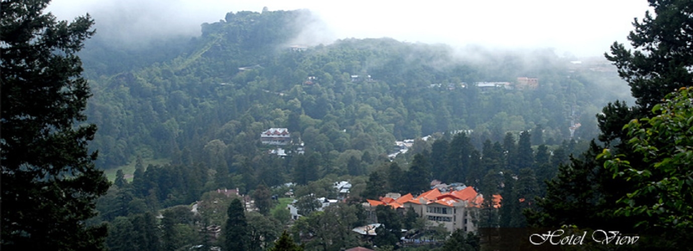 Hotel View