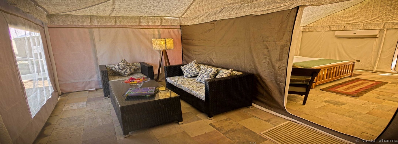 Tent Lounge