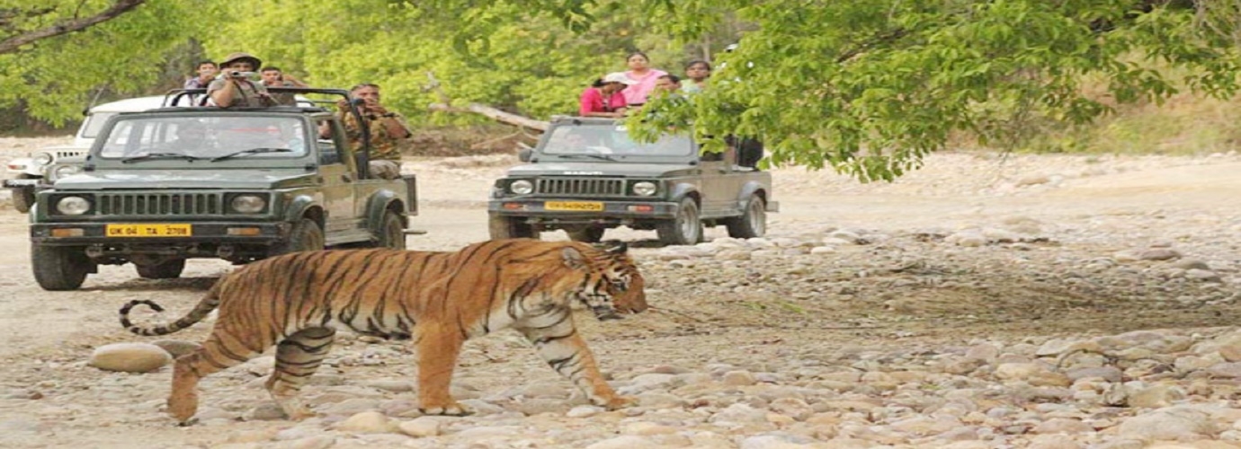 Jeep Safari