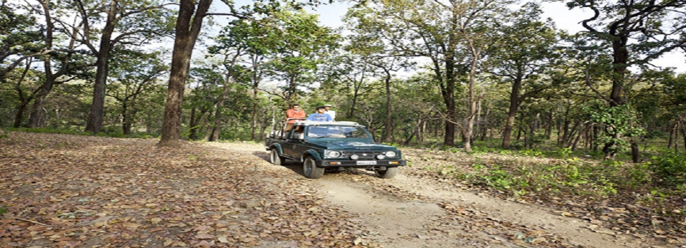 Jeep Safari