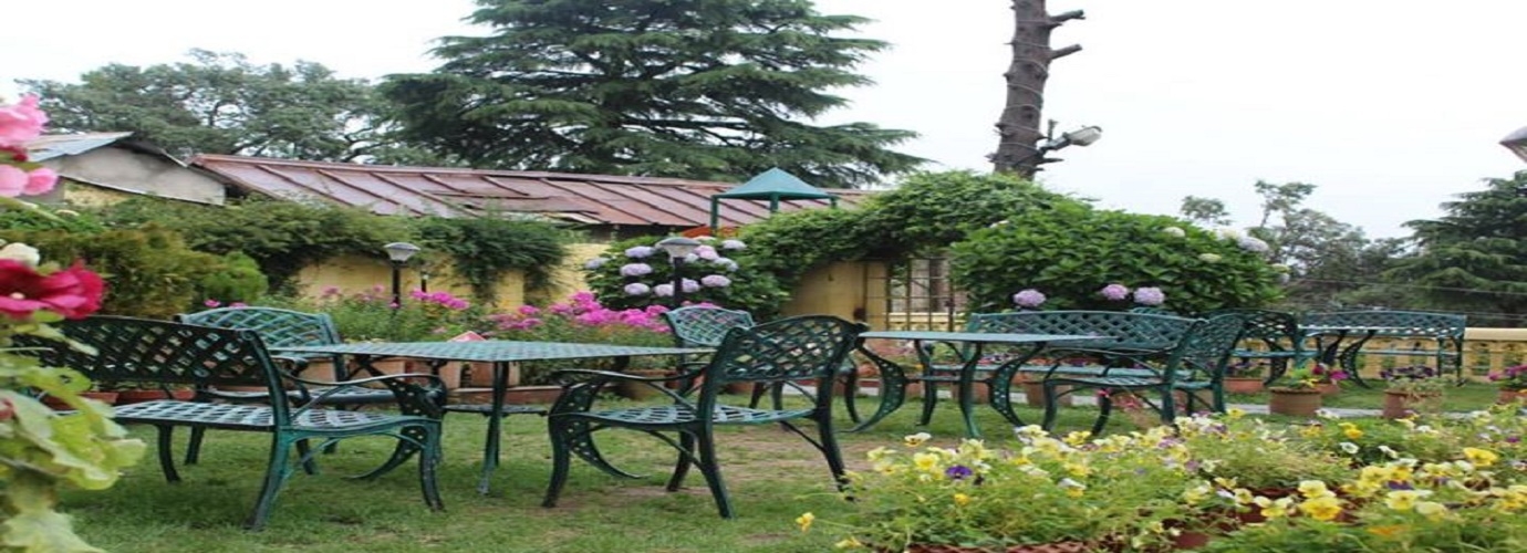 Open Air Dining