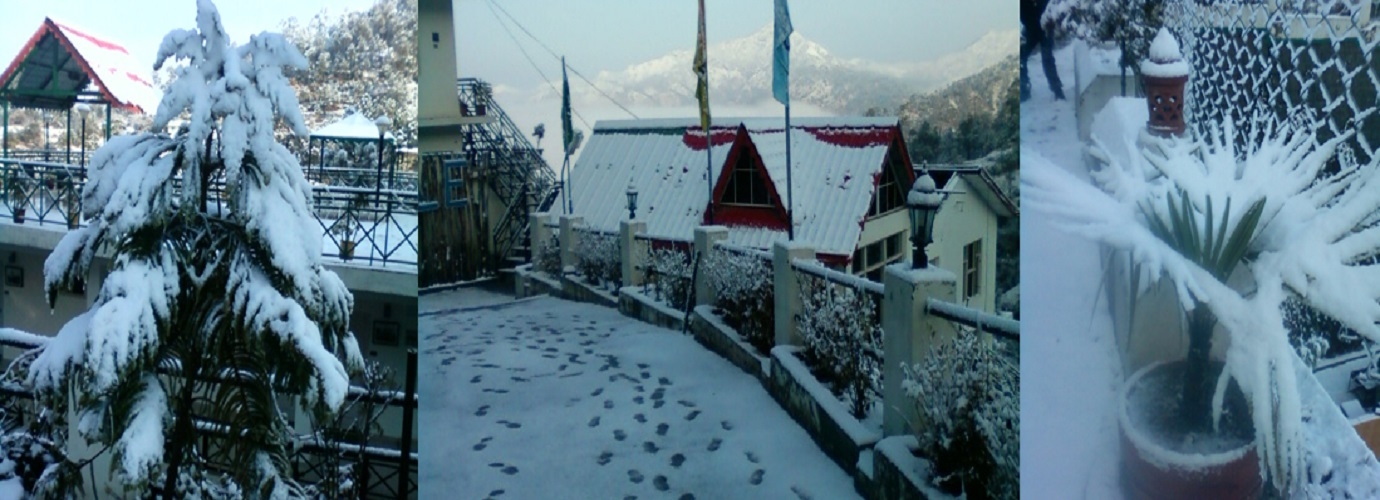 Snow Fall In Resort 