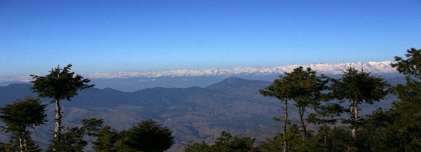Himalayas From Kufri