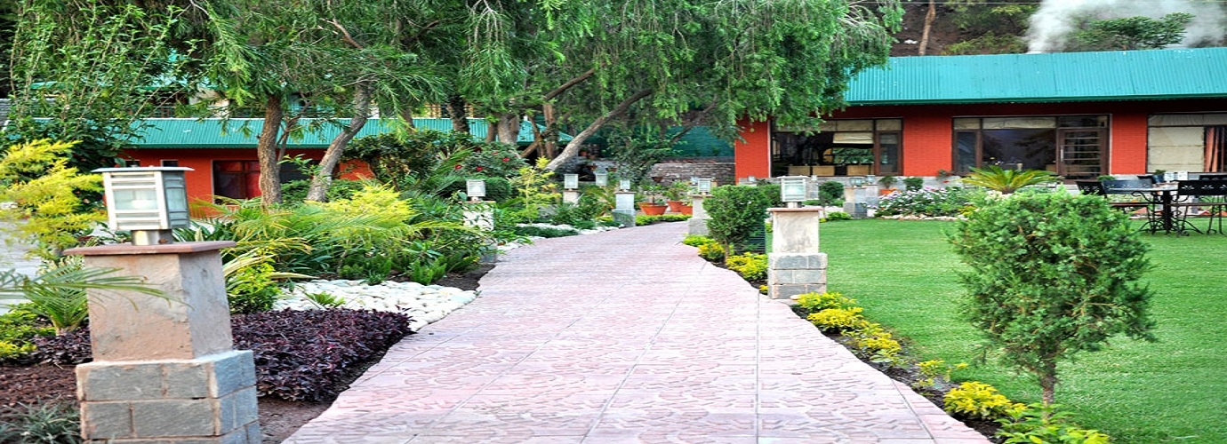 Garden Walk 