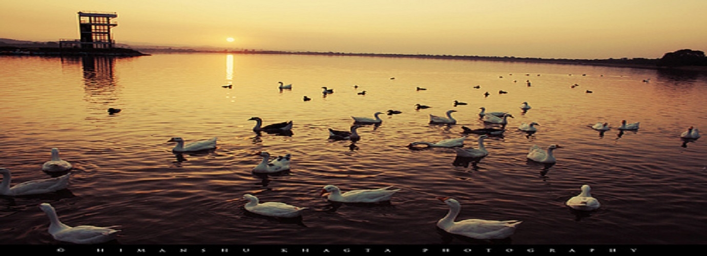 Sukhna Lake