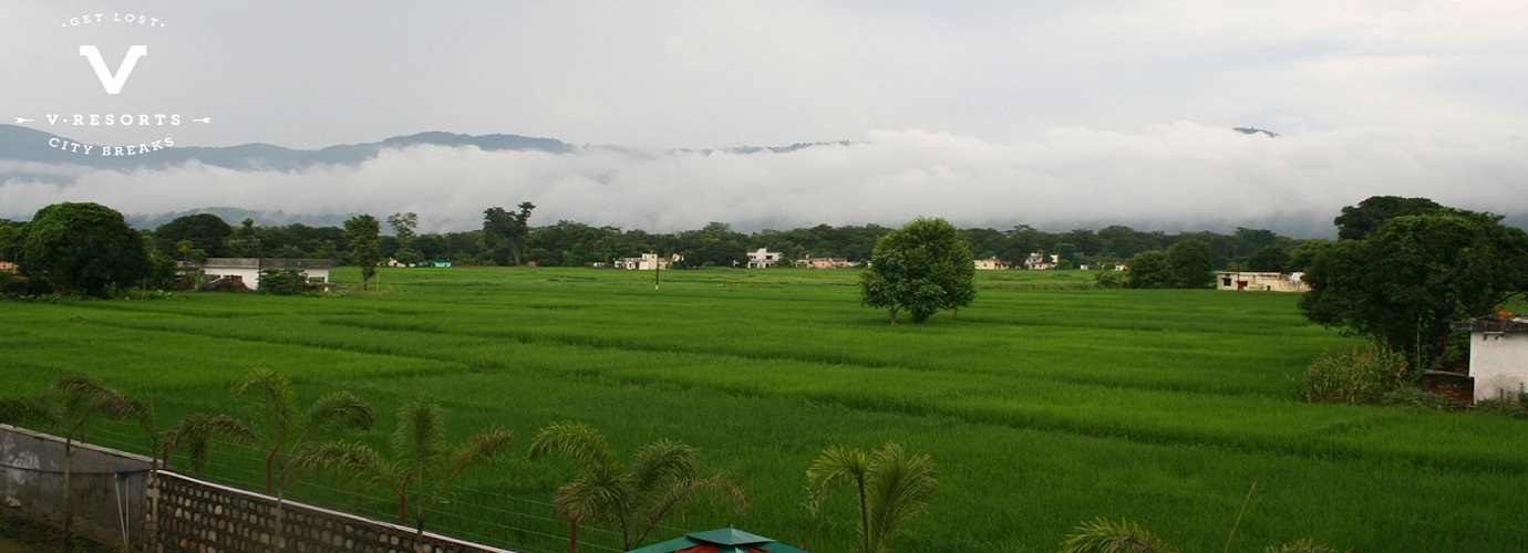 View from Resort