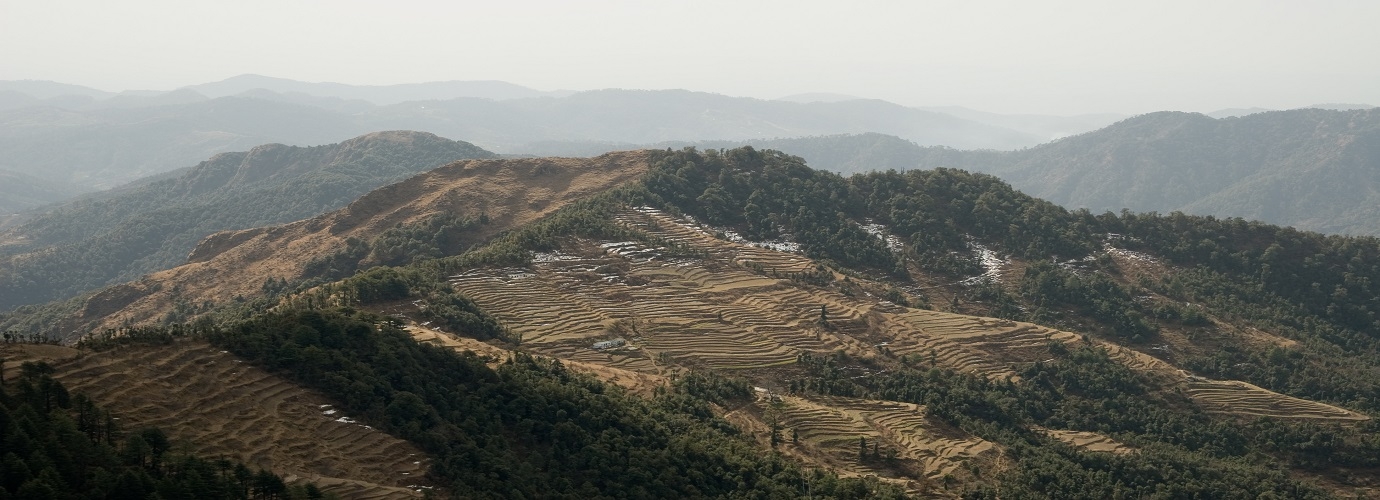 Terrace fields