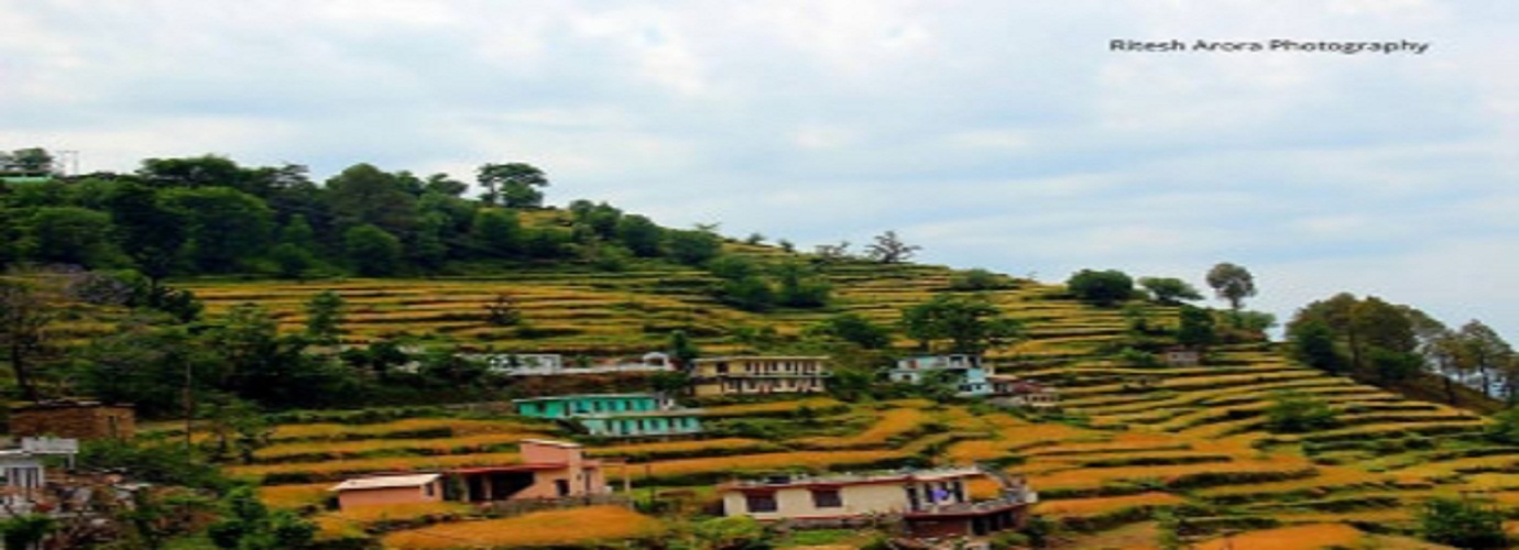 Farm Houses