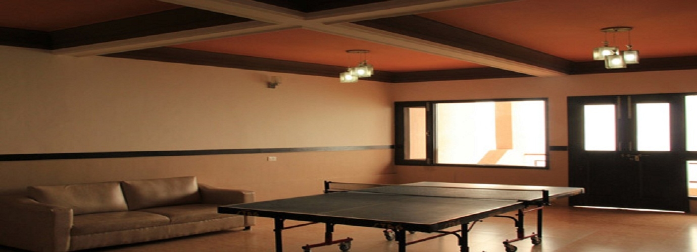 Table Tennis