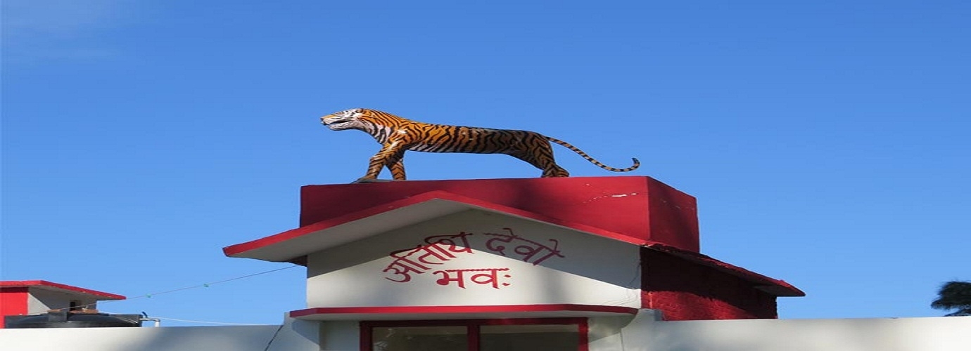 tiger tourism resort