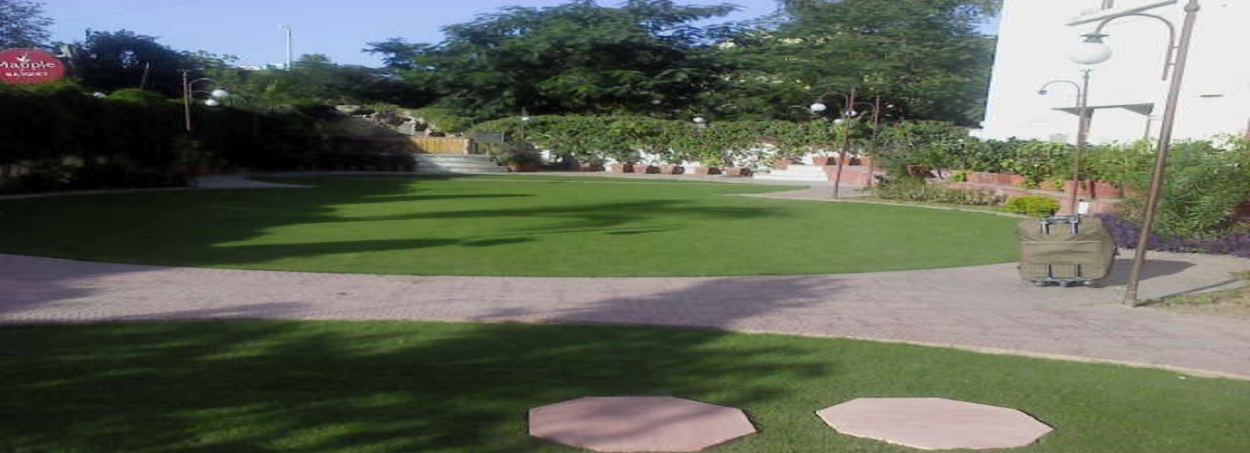 Lawn