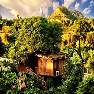 The Tree House Resort