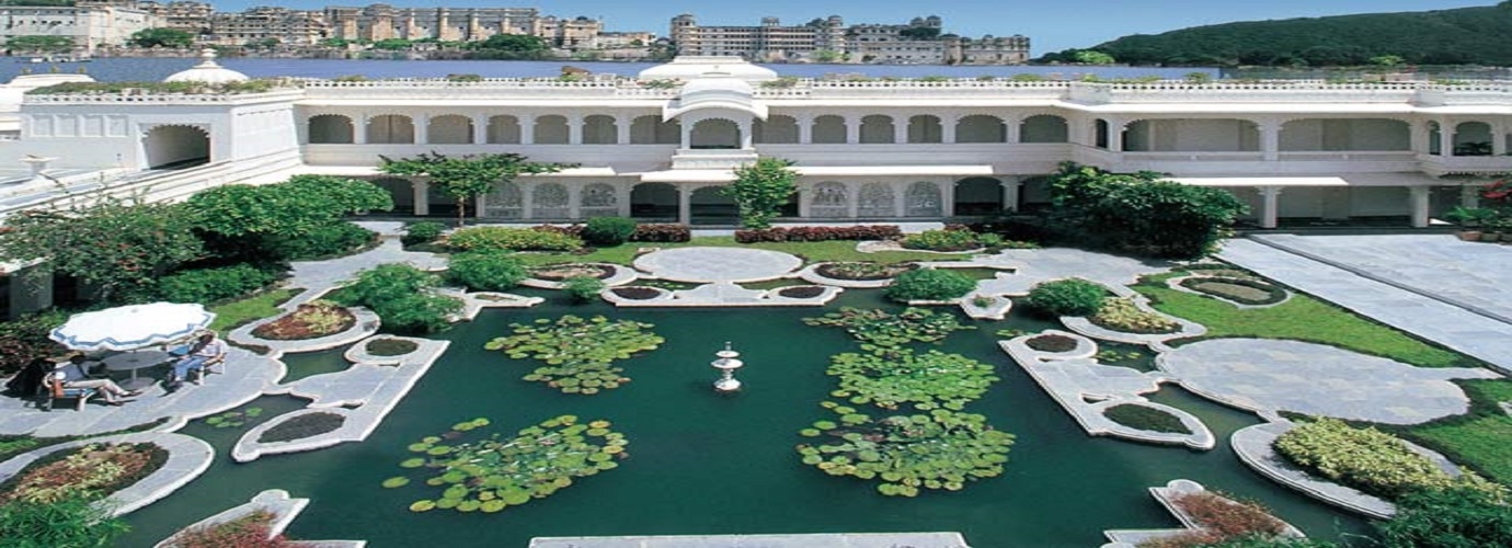 Lily Pond