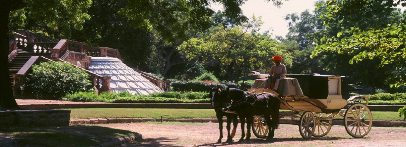 Horse Safari