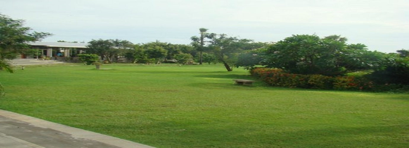 Lawn 