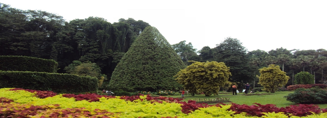 Botanical Garden