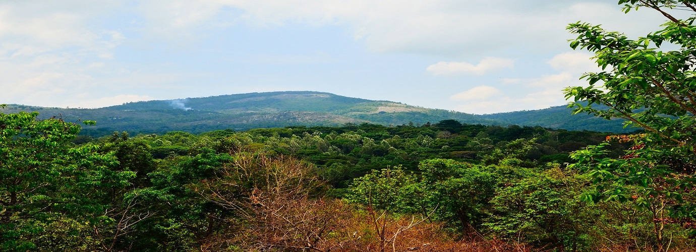 Karadiyur View Point