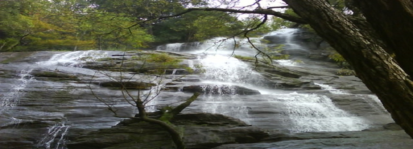 Killiyur Water Falls