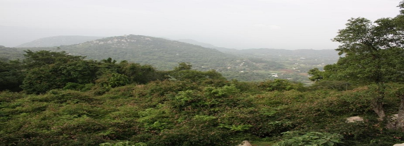 Swamimalai Hills