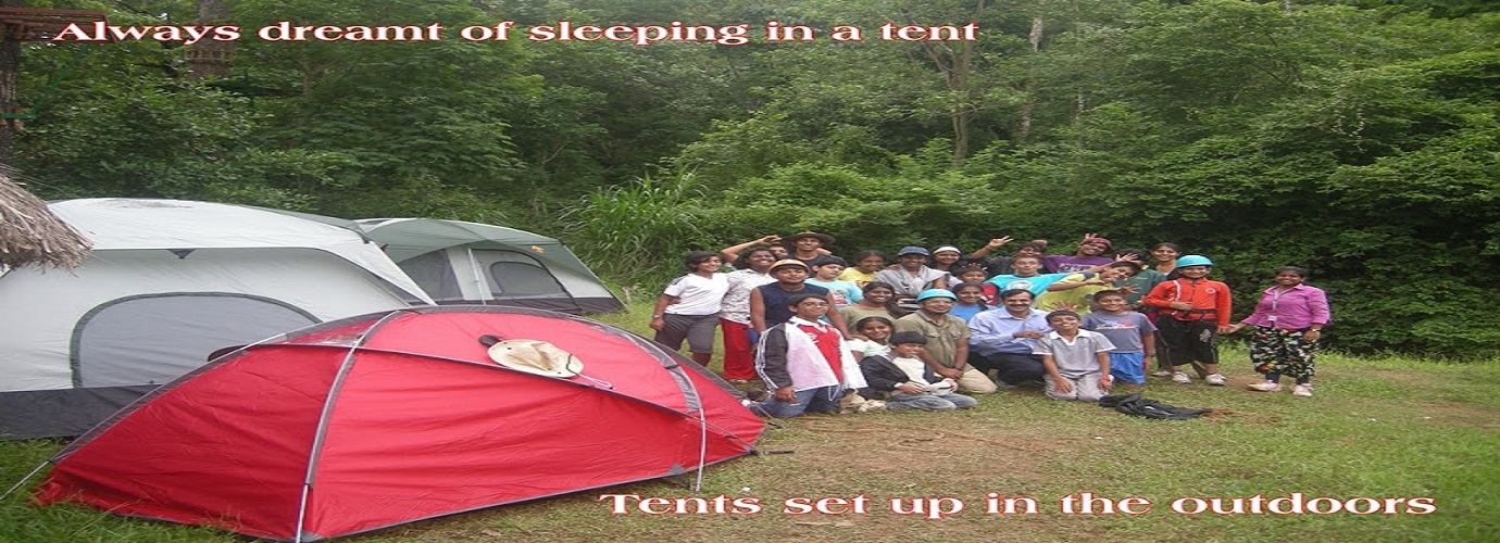 Tents Setup In The Outdoors