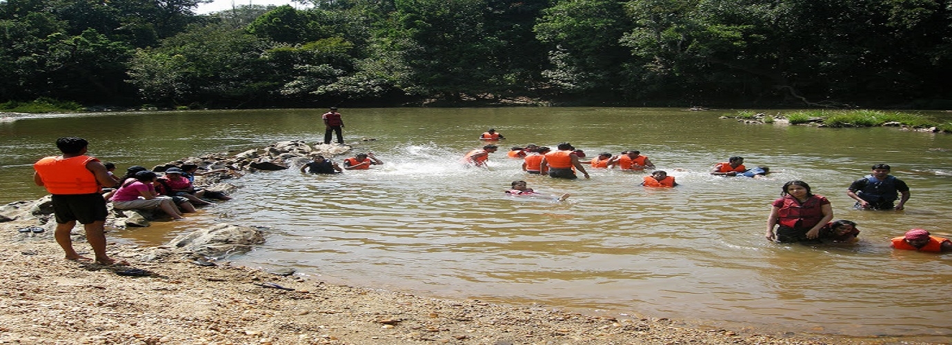 The River Side Picnic