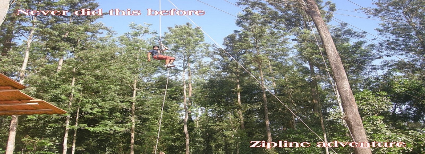 Zipline Adventure