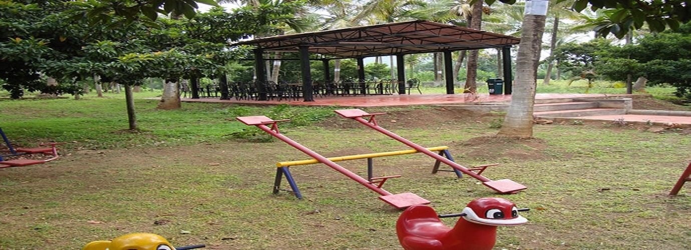 Children's Play Area