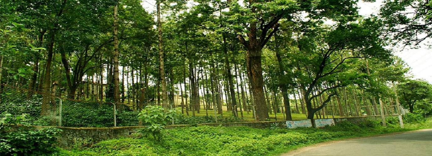 Marayoor Sandalwood Forests