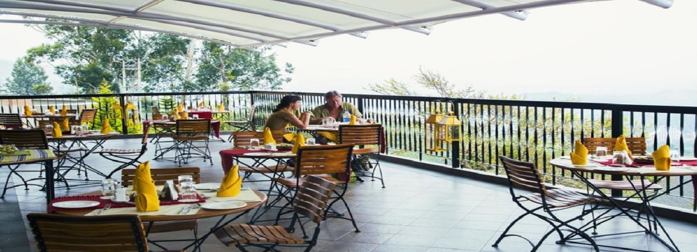 Cafe Terrace In Yellow