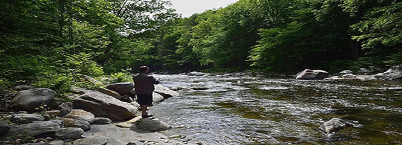 Rainbow Trout Fishing