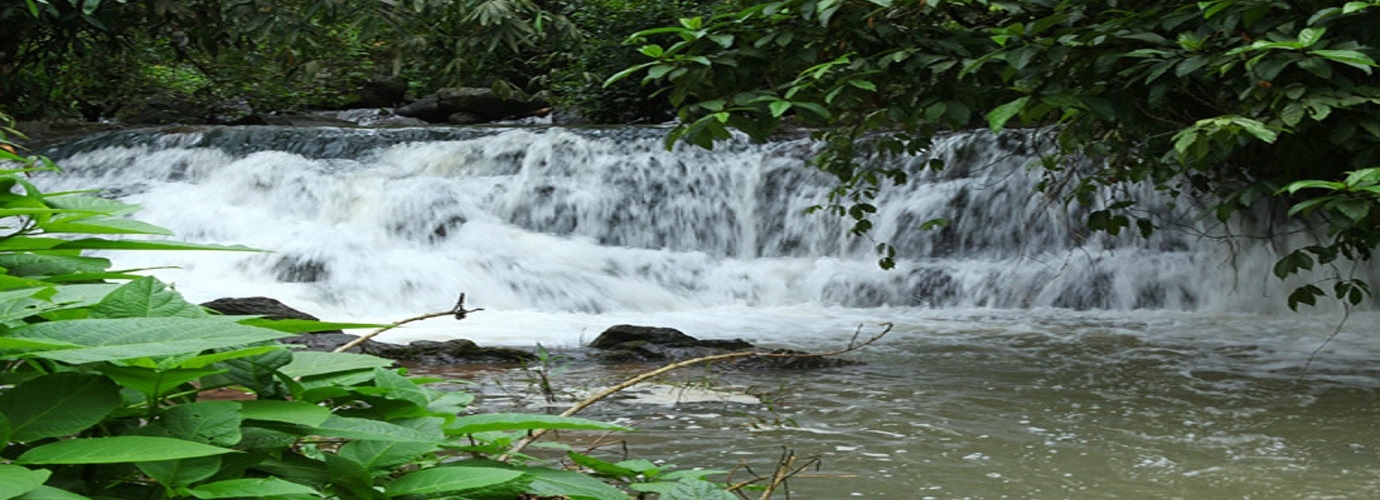 The Stream (Inside The Property)