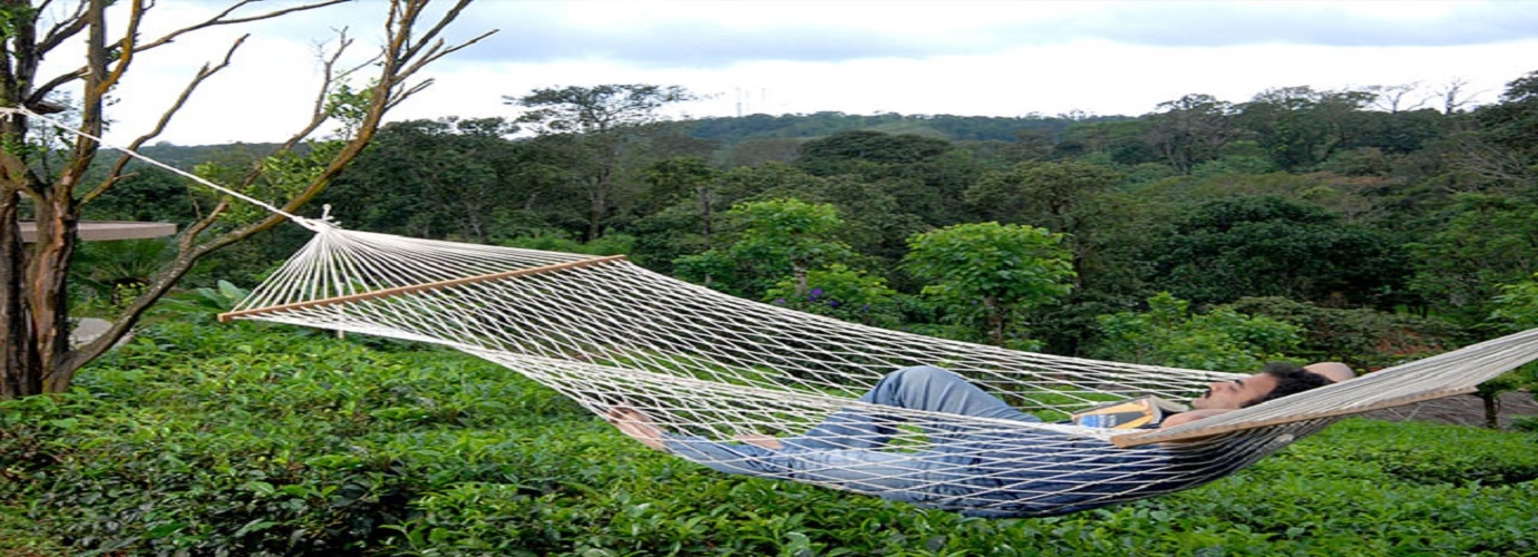 Hammock