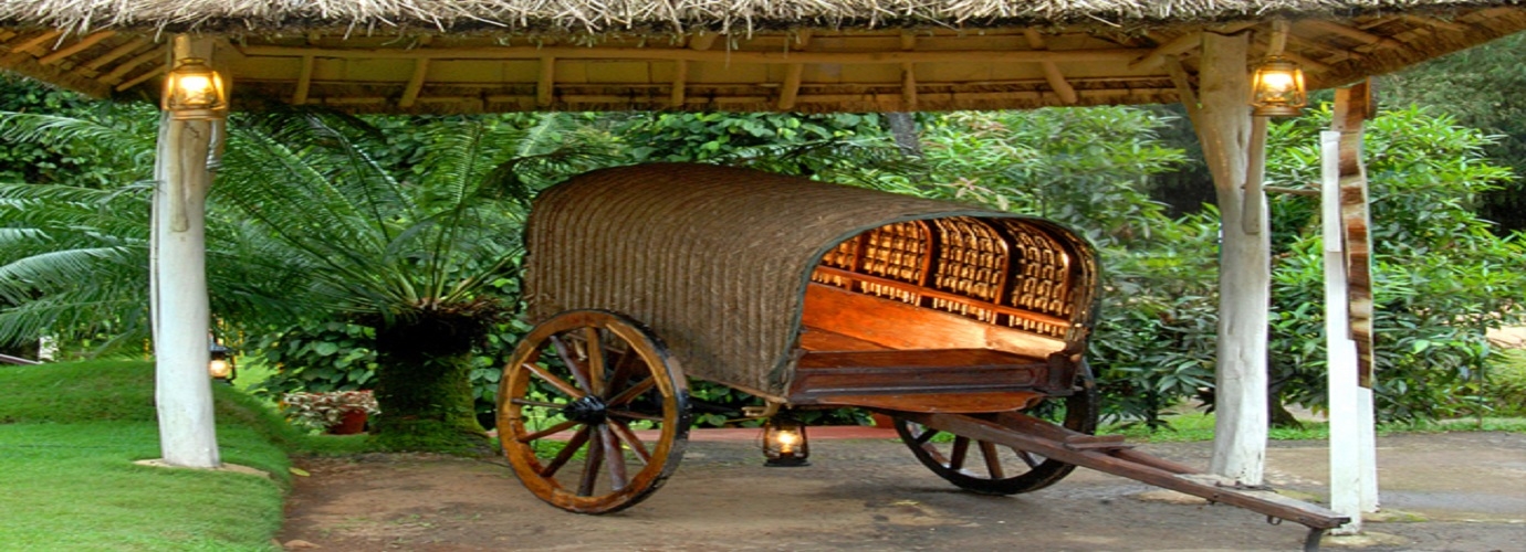 Bullock Cart