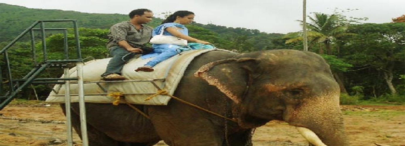 Elephant Ride