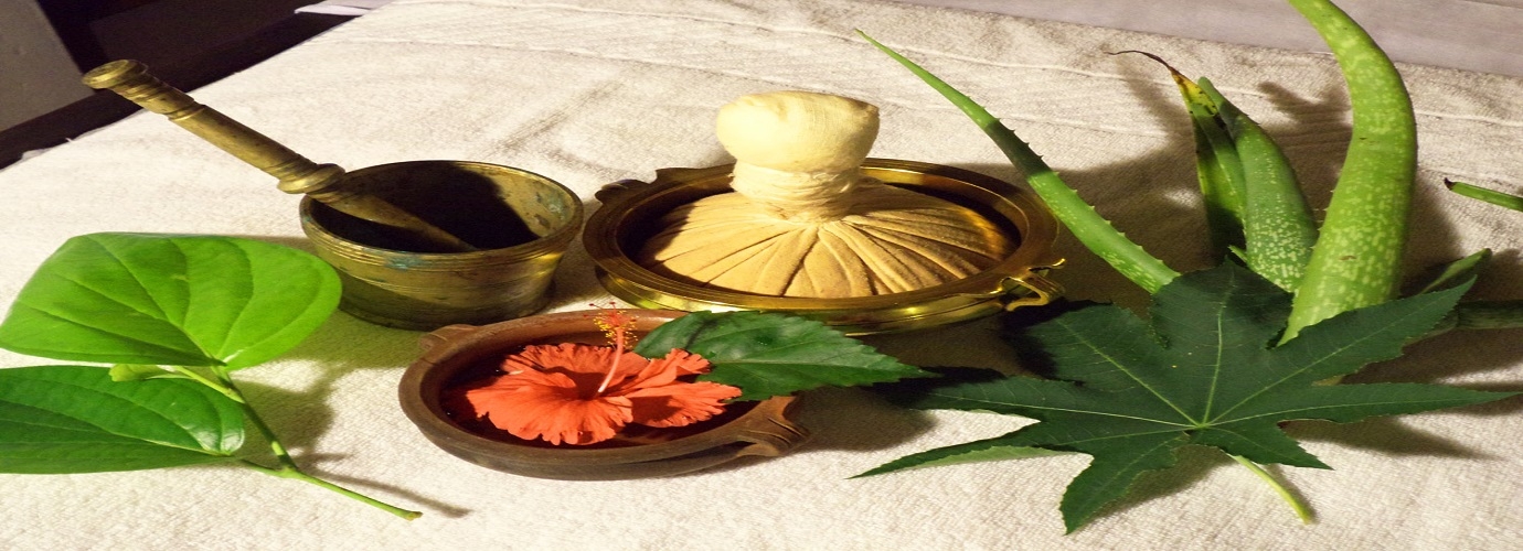 Kizhi Treatment - Ayurveda