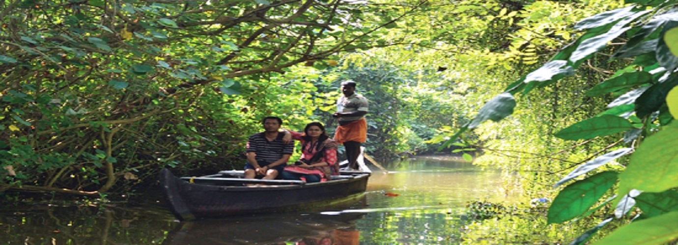 Canoe Ride