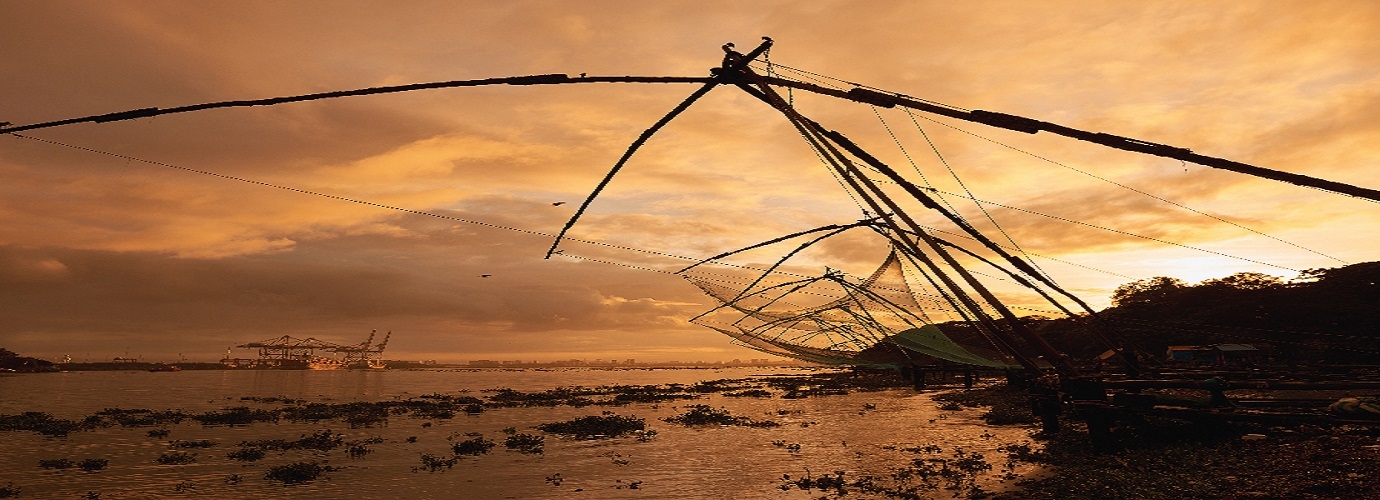 Chinese Fishing Nets