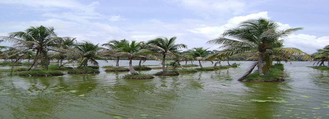 Vellayani Lake