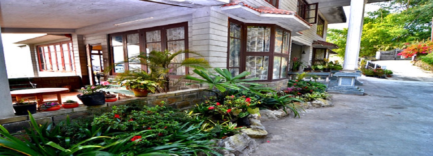 Driveway Into Main House & Reception Area