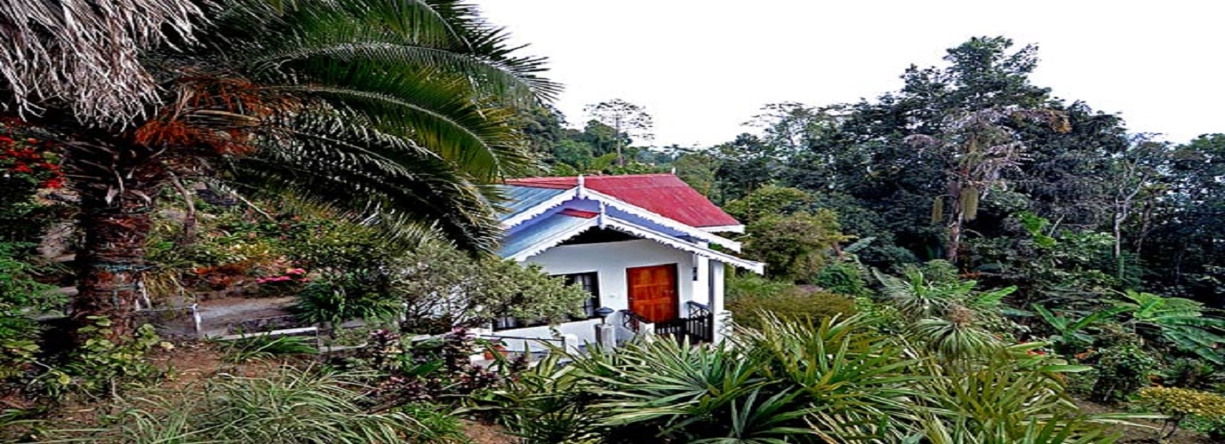 Palm Cottage