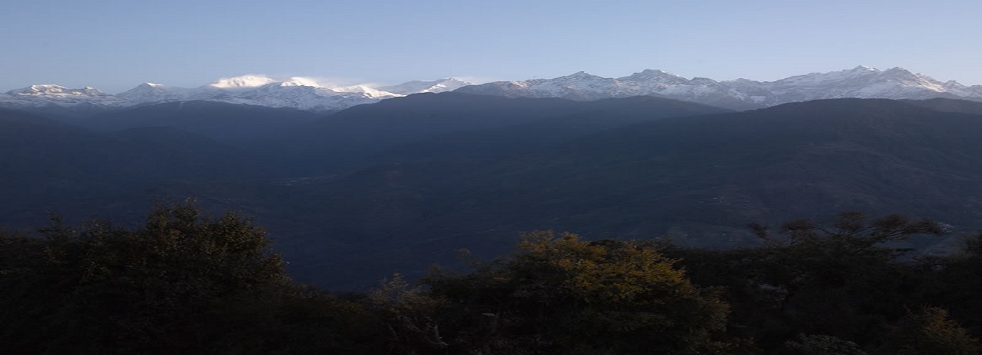 View Of The Snow Mountains From The Lawn